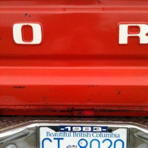Chrome tailgate handle