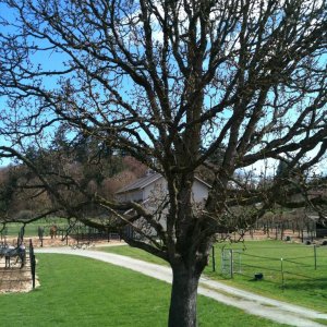 spring_003