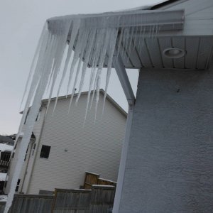 DSCF5264