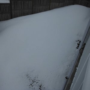 DSCF5265