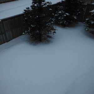DSCF5266