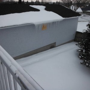 DSCF5267