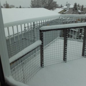 DSCF5347