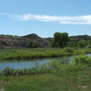 DSCF26071
