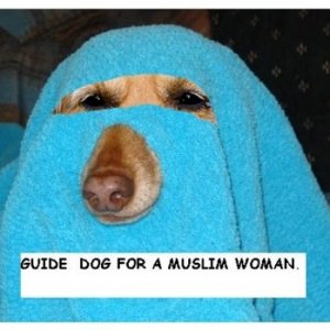 barka