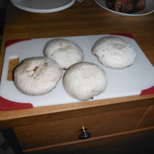 DSCF5462