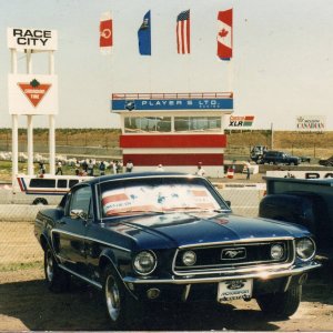 Kelly's 68 Fastback GT-302