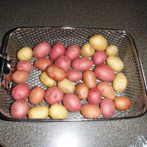 DSCF5580