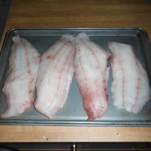 DSCF5581