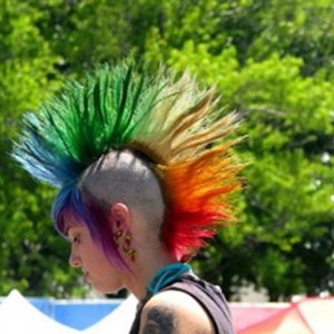 parrot
