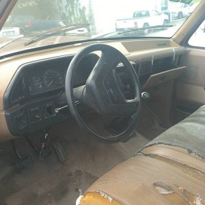 Brown Build