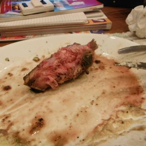 DSCF5955