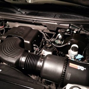 4.6 litre Triton V8