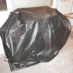 DSCF6010
