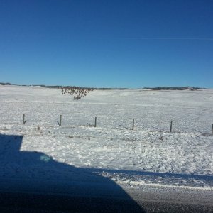20141202_110358