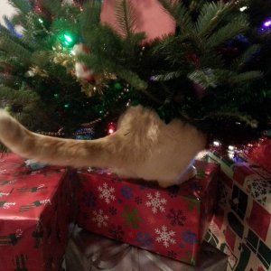 20141216_190330
