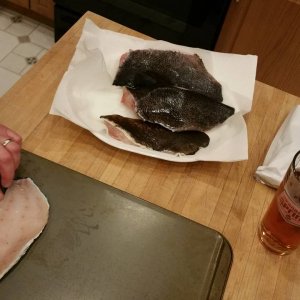 20150220_190404