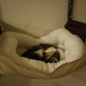 20150221_190916