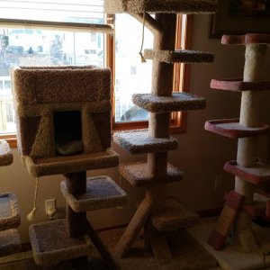 20150222_082415