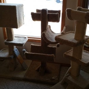 20150222_082437