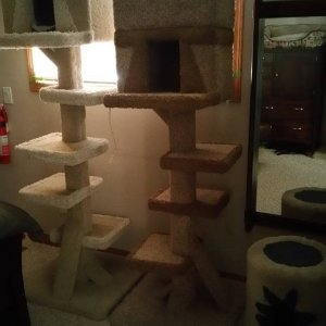 20150222_082507