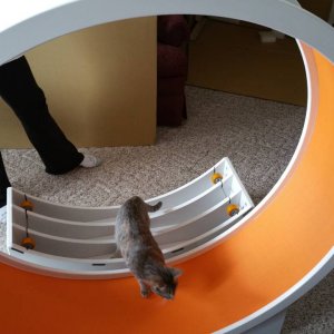 20150317_122420