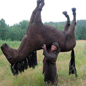 Horse