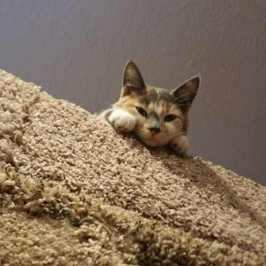 20150328_195131