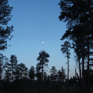 DSCF3067