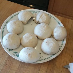 20150607_163215