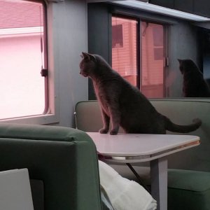 20150913_122952