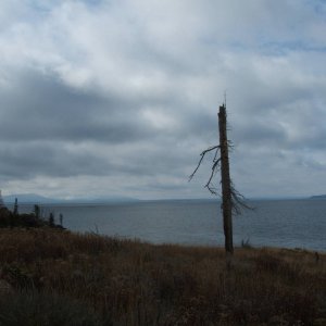 DSCF3136