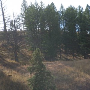 DSCF32561