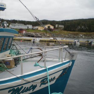 PA201176