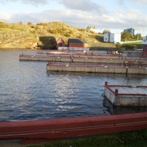 PA261188