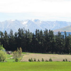 IMG_2236