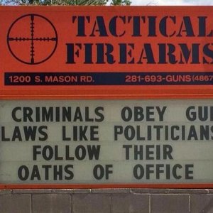 gun
