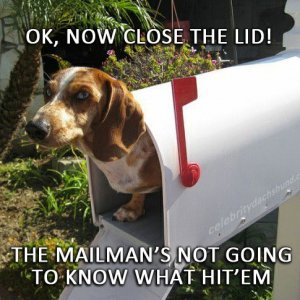 mailman