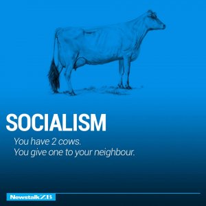 socialism