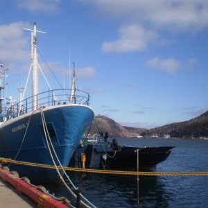 P3151557