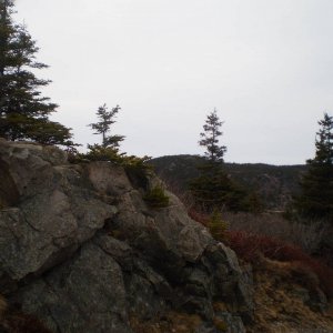 P4192243