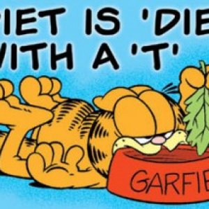 diet-is-die-with-a-t-300x214