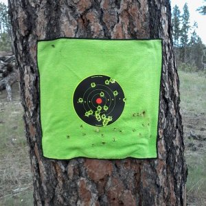 slow_fire_target
