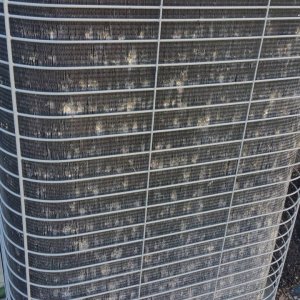 20160629_113737