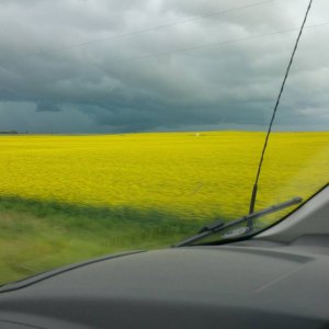 20160715_122526