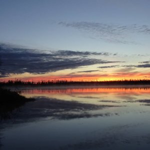 DSC01429