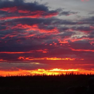 DSC01606