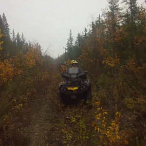 vlcsnap-2016-10-08-21h02m08s136