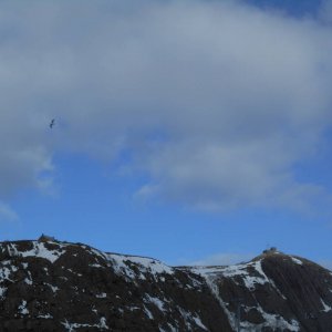 DSCN0262