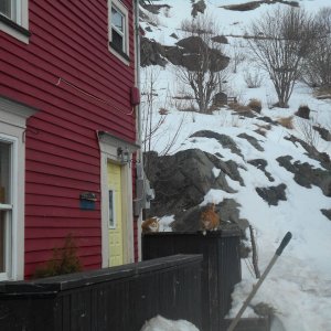 DSCN0241